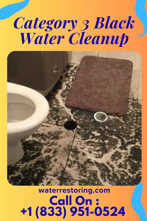Category 3 Black Water Cleanup in Bryn Athyn, PA