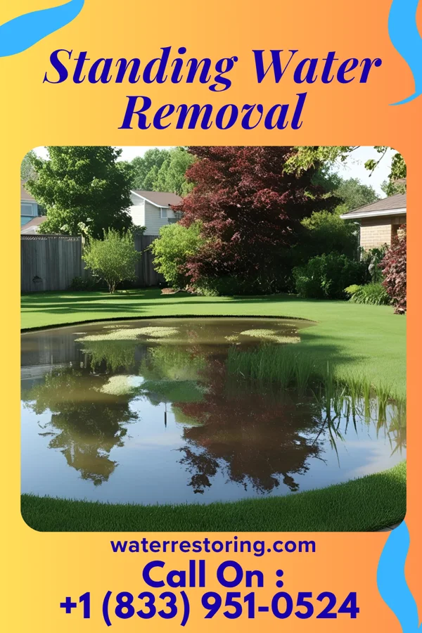 Standing Water Removal in Bryn Athyn, PA